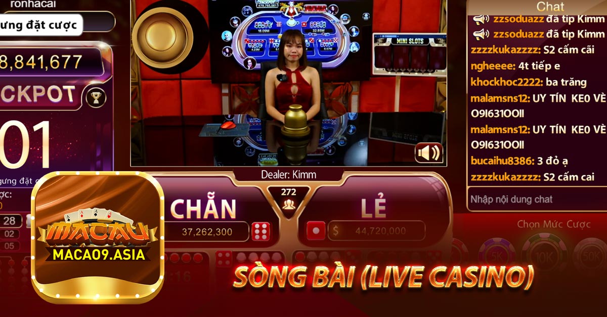 Sòng bài (live casino)