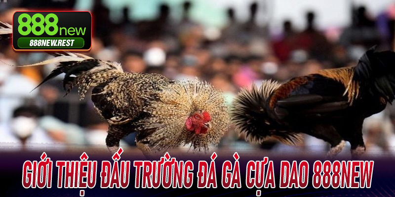 Giới thiệu đấu trường Đá Gà Cựa Dao 888New