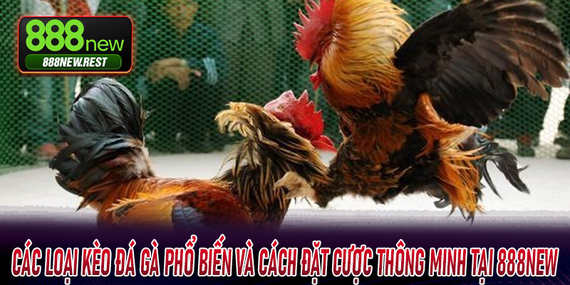Các loại kèo đá gà phổ biến và cách đặt cược thông minh tại 888New