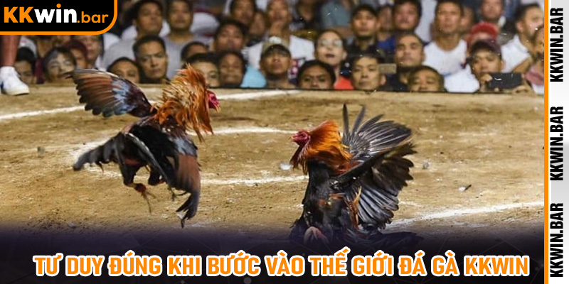 Tư Duy Đúng Khi Bước Vào Thế Giới Đá Gà KKWIN
