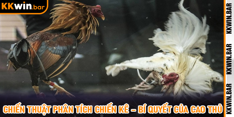 Chiến Thuật Theo Dòng Tiền Và Biến Động Kèo