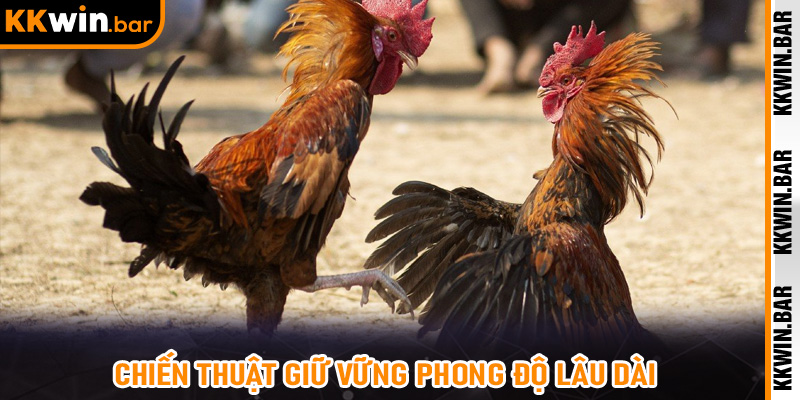 Chiến Thuật Giữ Vững Phong Độ Lâu Dài