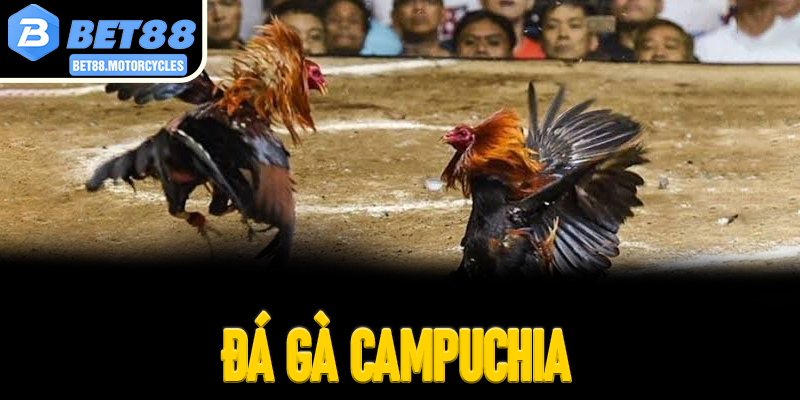Đá Gà Campuchia