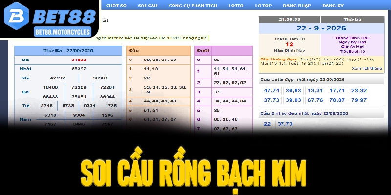 soi cầu rồng bạch kim